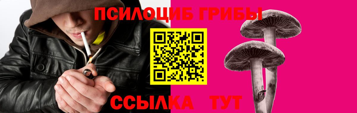 Галлюциногенные грибы ЛСД  Вход с VPN  Псилоцибиновые грибы ЛСД  Видное 